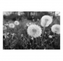 c2000_L1290822-Q