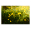 c2000_L1300124-Q
