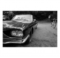 c2000_L1260096b-Q