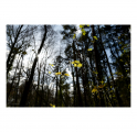 c2000_L1280749-Q