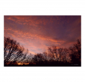 c2000_L1270291-Q